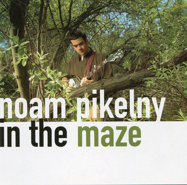 PIKELNY, NOAM - IN THE MAZE