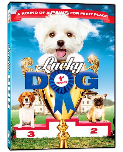 LUCKY DOG