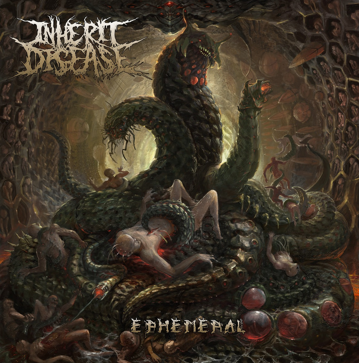 INHERIT DISEASE - EPHEMERAL