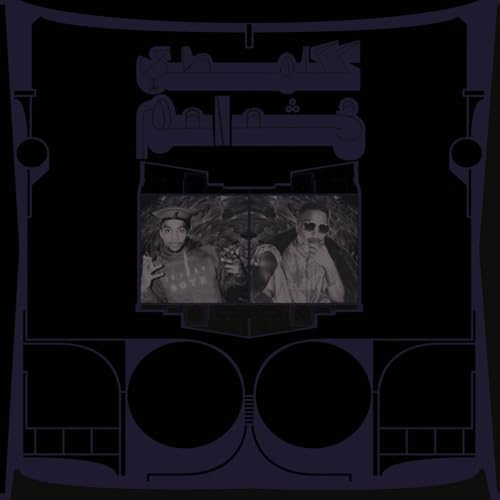 SHABAZZ PALACES - EXOTIC BIRDS OF PREY (CD)