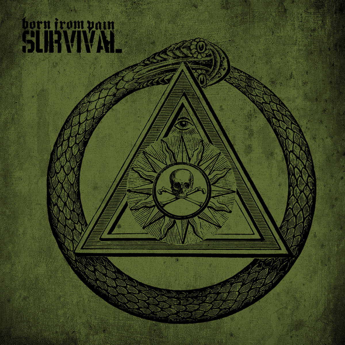 BORN FROM PAIN - SURVIVAL