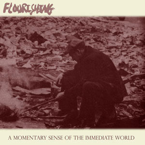 FLOURISHING - A MOMENTARY SENSE OF THE...