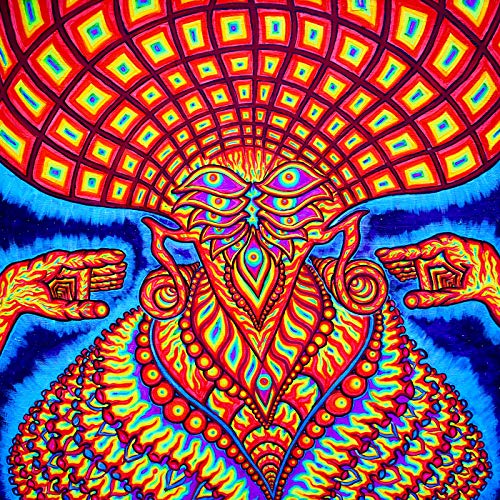 DREAM SYNDICATE - UNIVERSE INSIDE