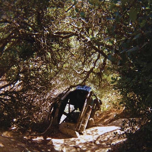 TY SEGALL - POSSESSION (CD)