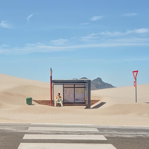 HAYDEN JAMES - WE COULD BE LOVE (VINYL)