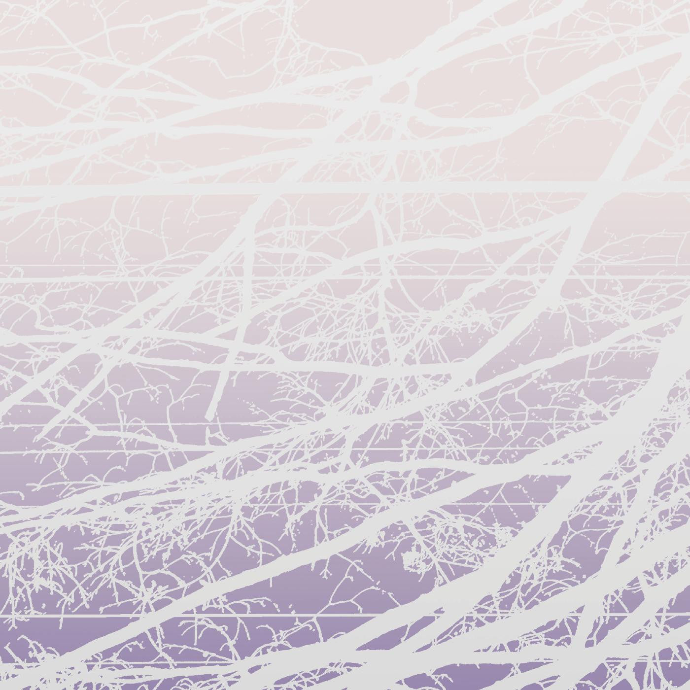 BERTUCCI, LEA - METAL AETHER / RESONANT FIELD