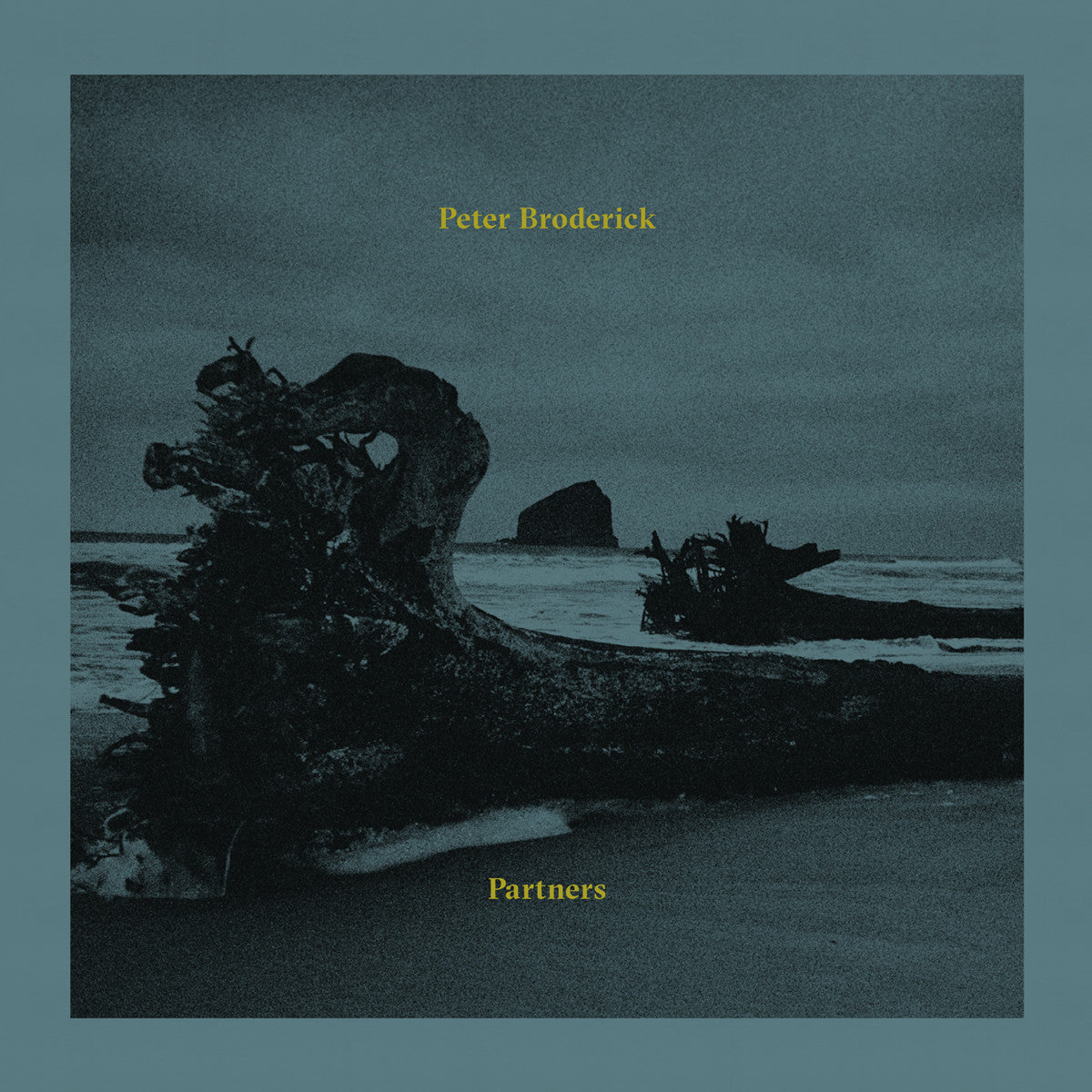 BRODERICK, PETER - PARTNERS