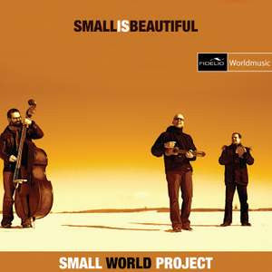 SMALL WORLD PROJECT - SMALL IS BEAUTIFUL