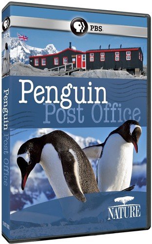 PENGUIN POST OFFICE - DVD-NATURE (PBS)