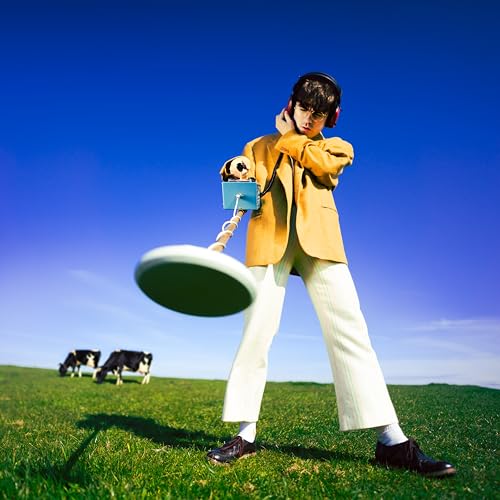 DECLAN MCKENNA - WHAT HAPPENED TO THE BEACH? (VINYL)