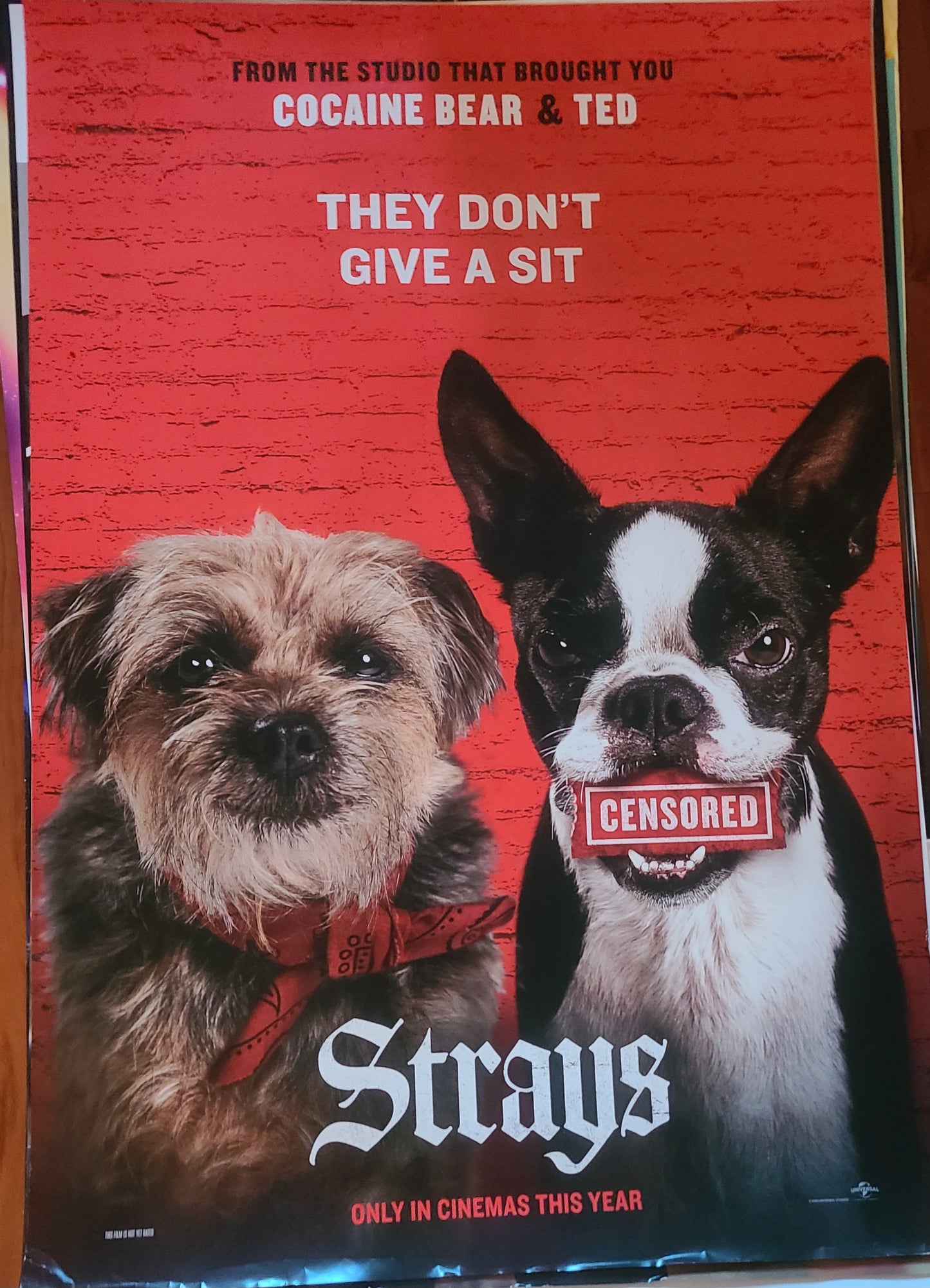 Strays Poster