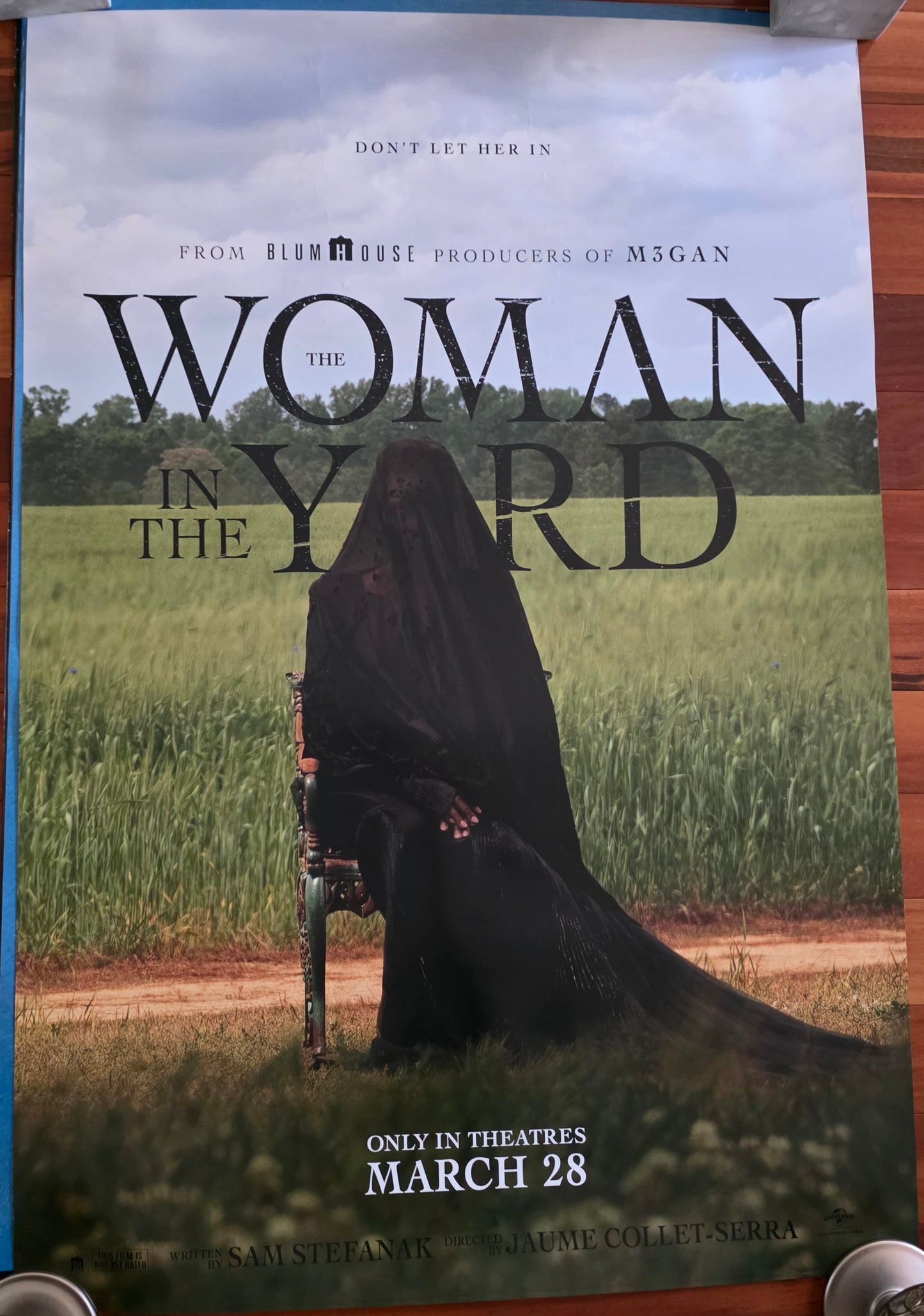 Woman In The Yard Poster