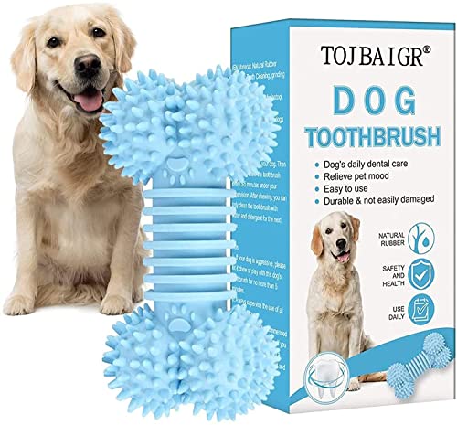 CCR - COSMO'S FACTORY (SACD)