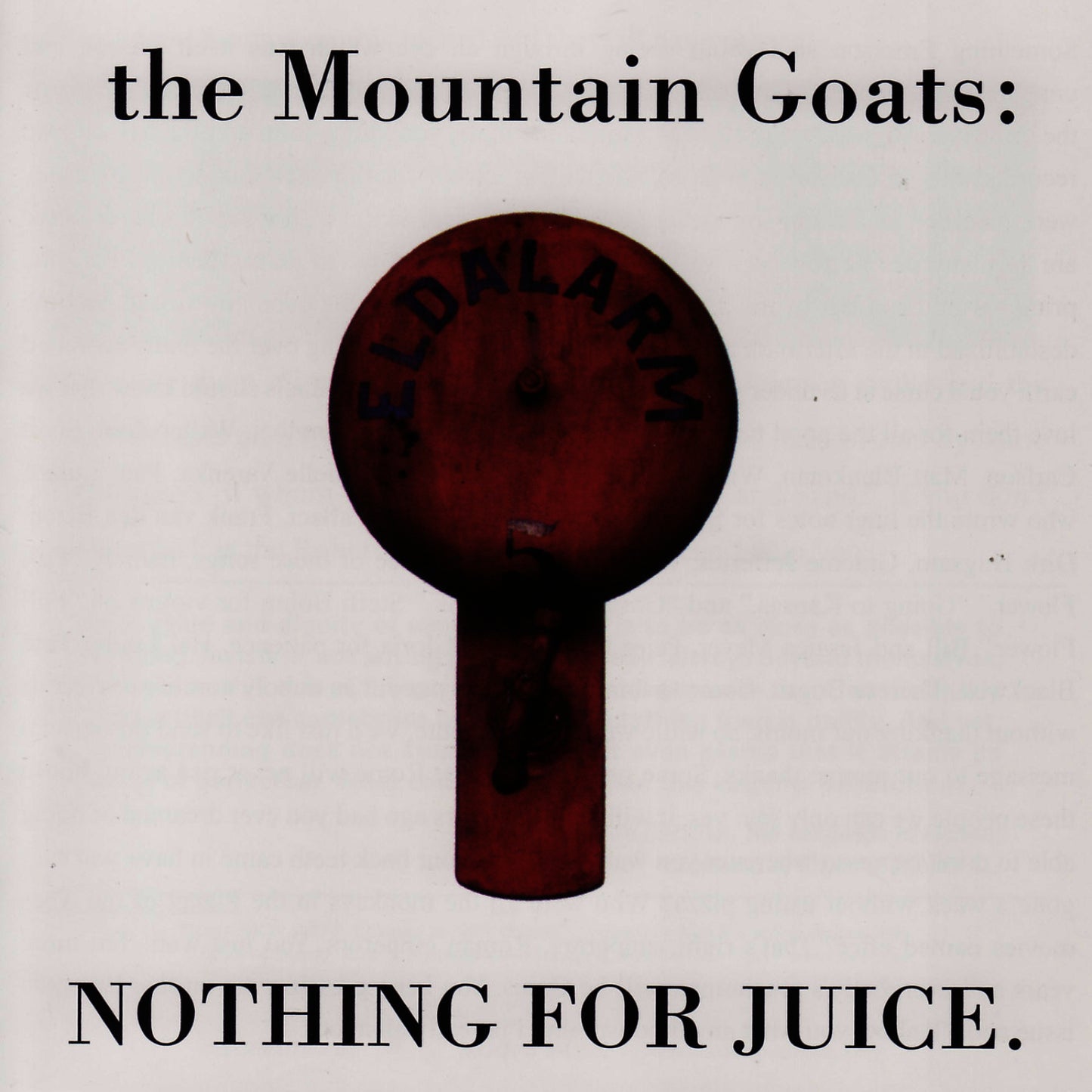 MOUNTAIN GOATS - NOTHING FOR JUICE