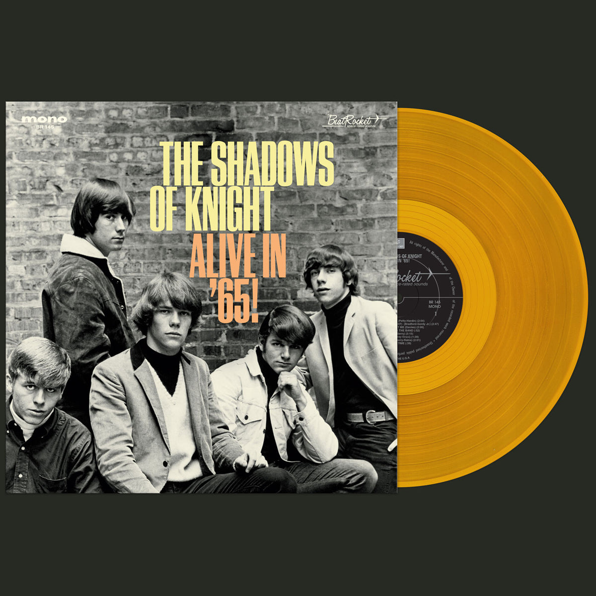 SHADOWS OF KNIGHT, THE - ALIVE IN '65! (GOLD VINYL)