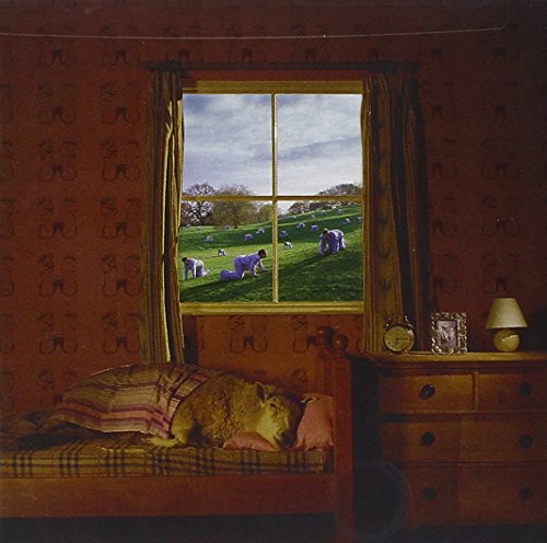 UMPHREY'S MCGEE - SAFETY IN NUMBERS