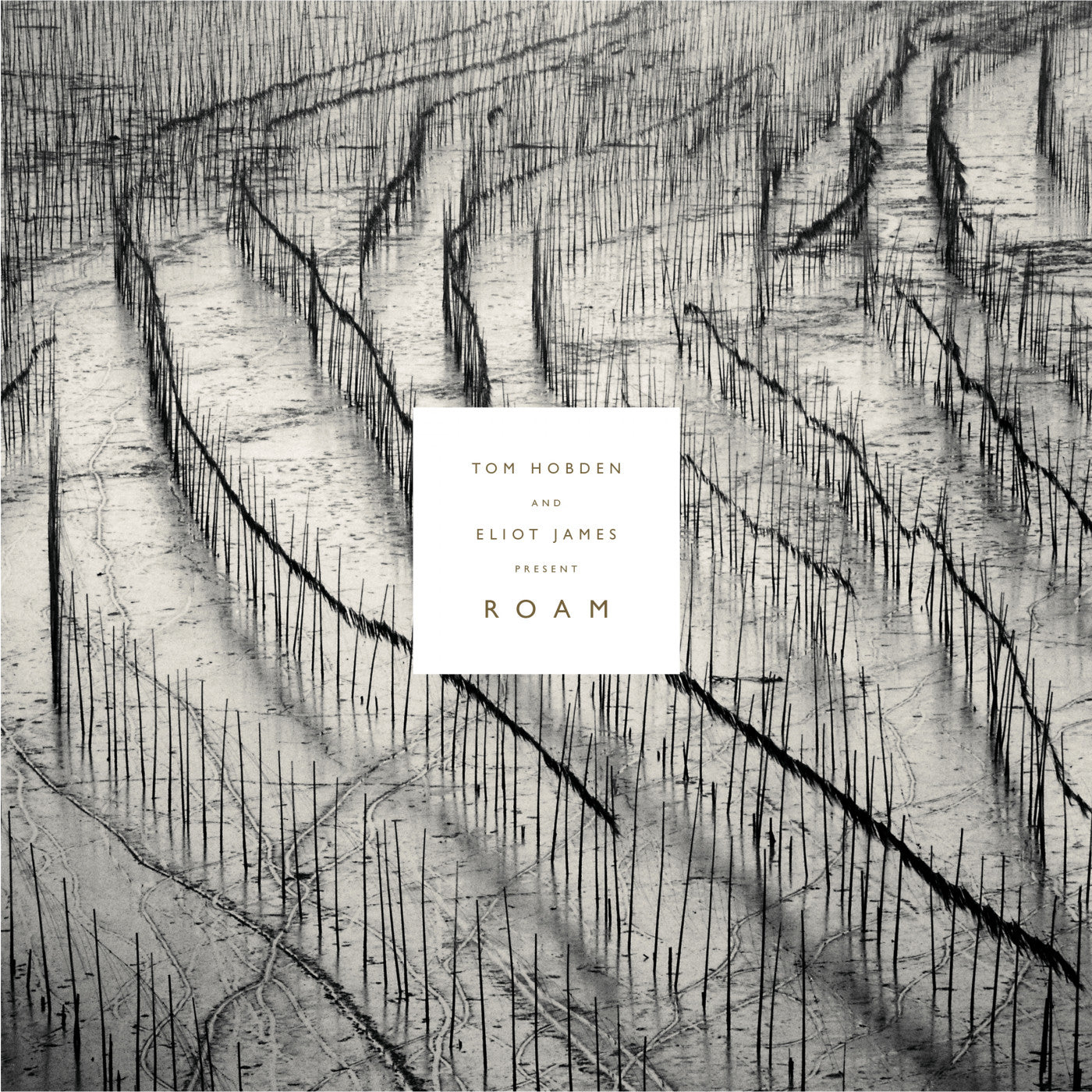 HOBDEN, TOM AND ELIOT JAMES - PRESENT: ROAM