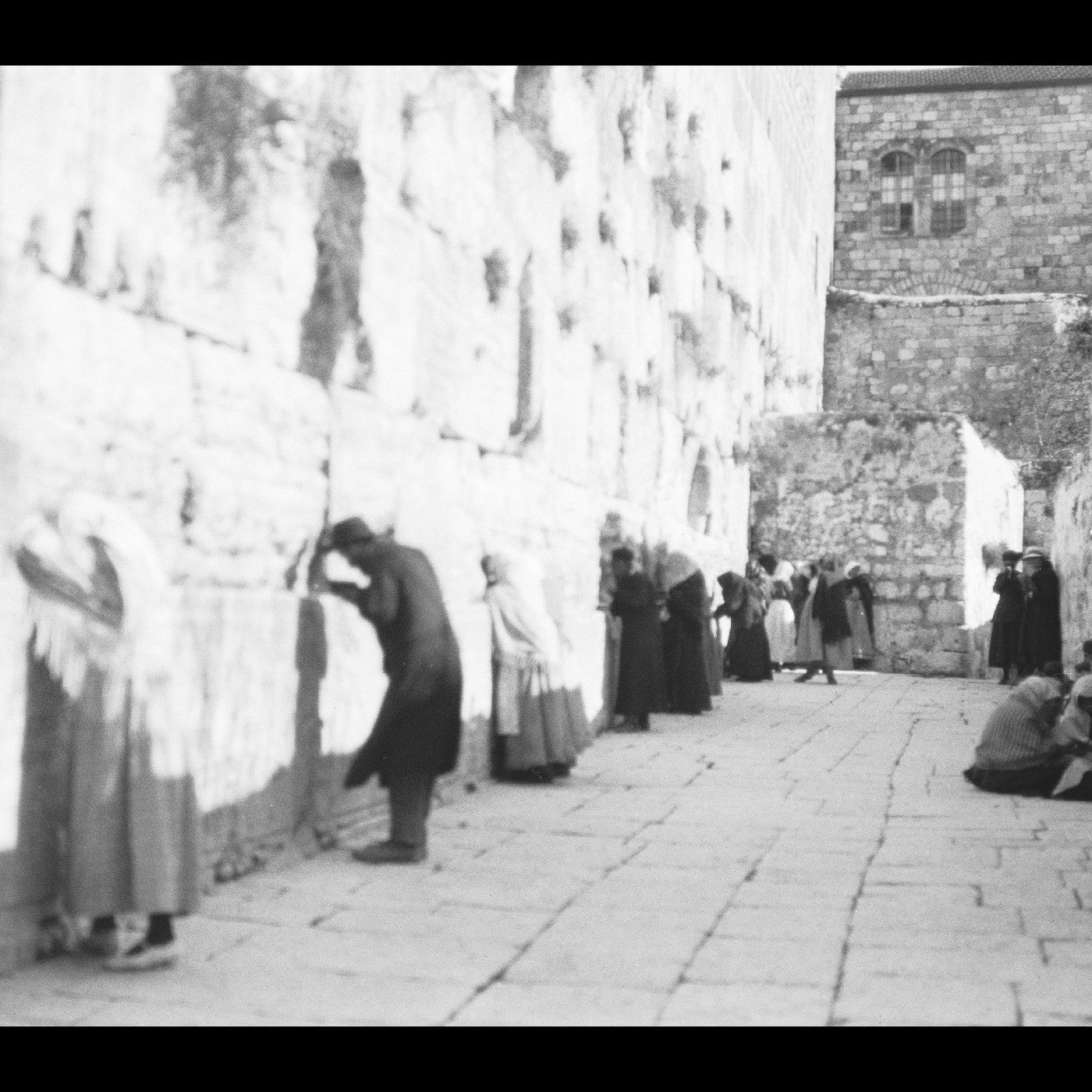 MADOF, JON TRIO - NETZACH