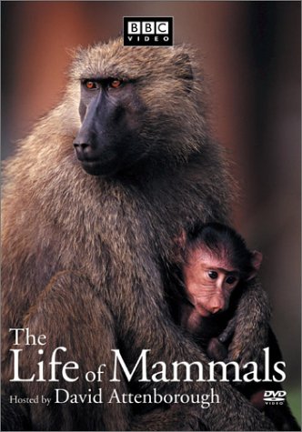 LIFE OF MAMMALS - DVD-VOLUME 4