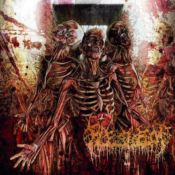 FLESHROT - TRAUMATIC RECONFIGURATION
