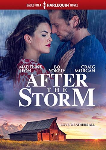 AFTER THE STORM - DVD-2019-MADELINE LEON