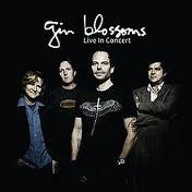 GIN BLOSSOMS - LIVE IN CONCERT