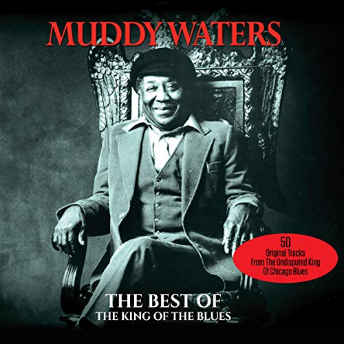 WATERS, MUDDY - BEST OF: KING OF THE BLUES (2CDS)