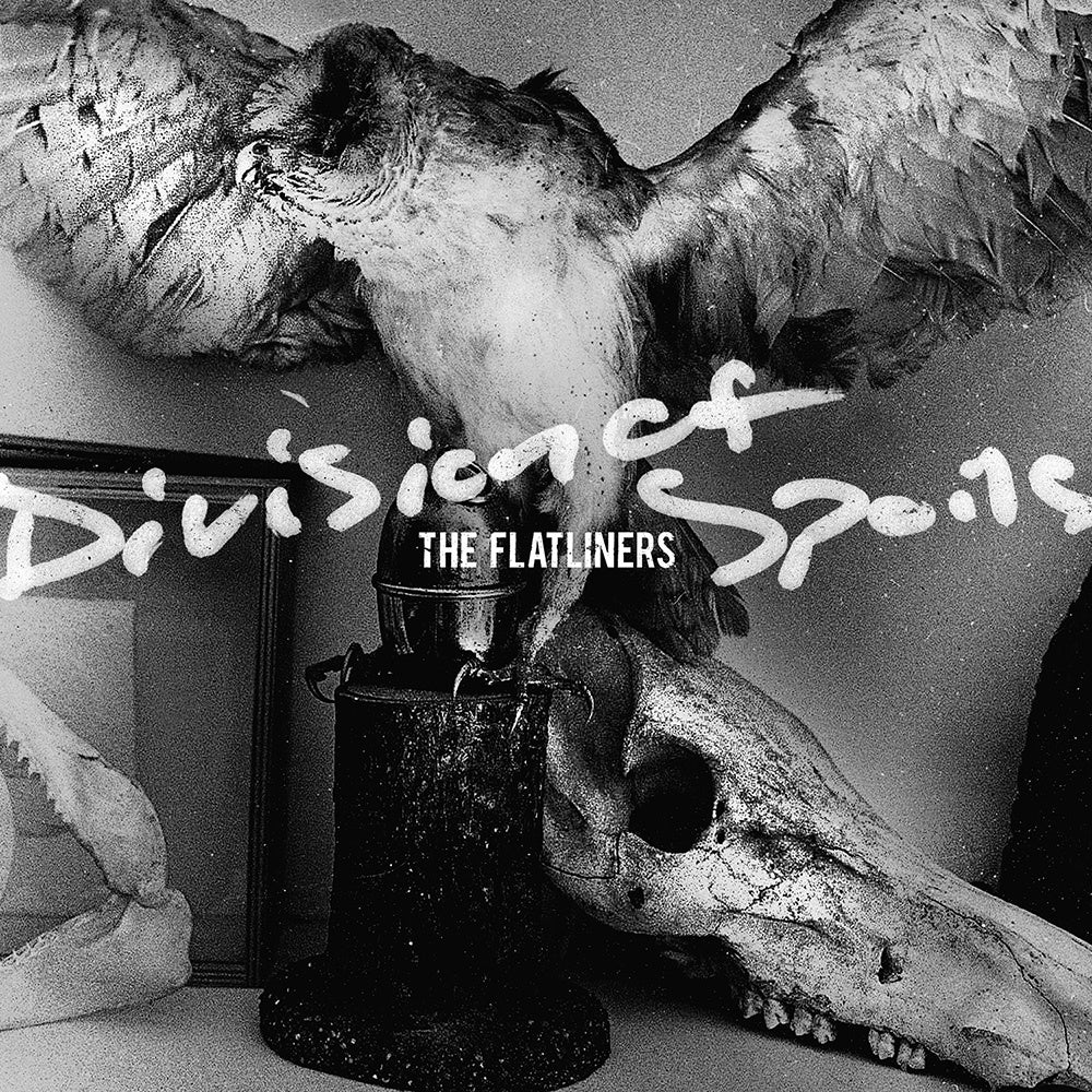 FLATLINERS - DIVISION OF SPOILS