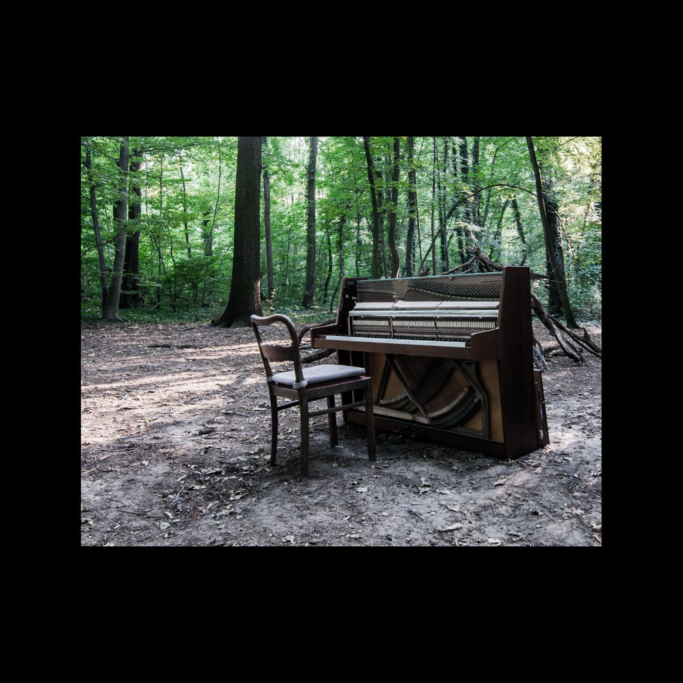 EYE OF TIME, THE - ACOUSTIC II (INDIE EXCLUSIVE, COKE BOTTLE GREEN VINYL)