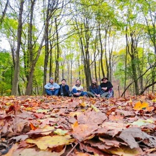 GOLDEN FEATHER - GOLDEN FEATHER (VINYL)