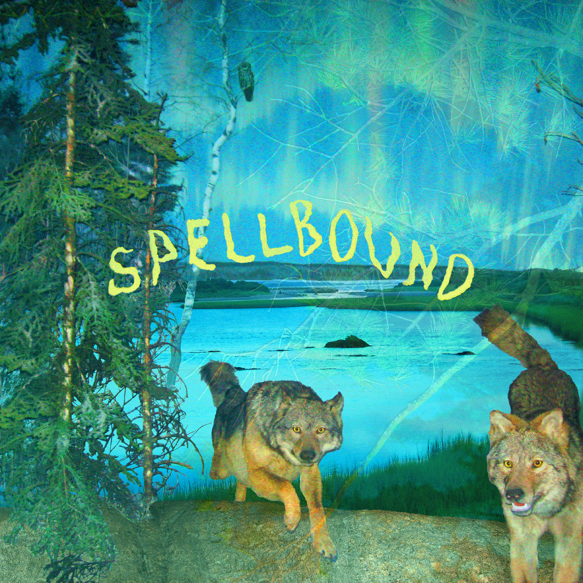 BOYSCOTT - SPELLBOUND