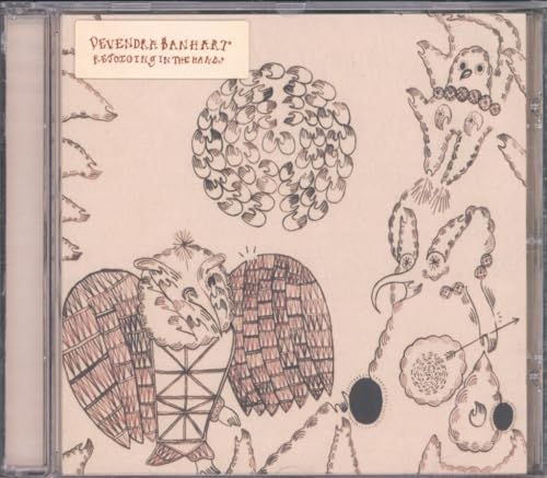 BANHART,DEVENDRA - REJOICING IN THE HANDS (CD)