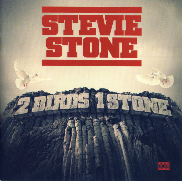 STONE, STEVIE - 2 BIRDS, 1 STONE