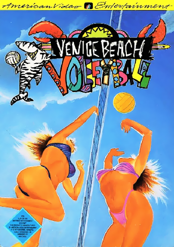 VENICE BEACH VOLLEYBALL - NES (W/BOX)