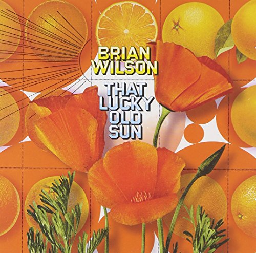 WILSON, BRIAN - BRIAN WILSON - THAT LUCKY OLD SUN (2 CD+DVD)