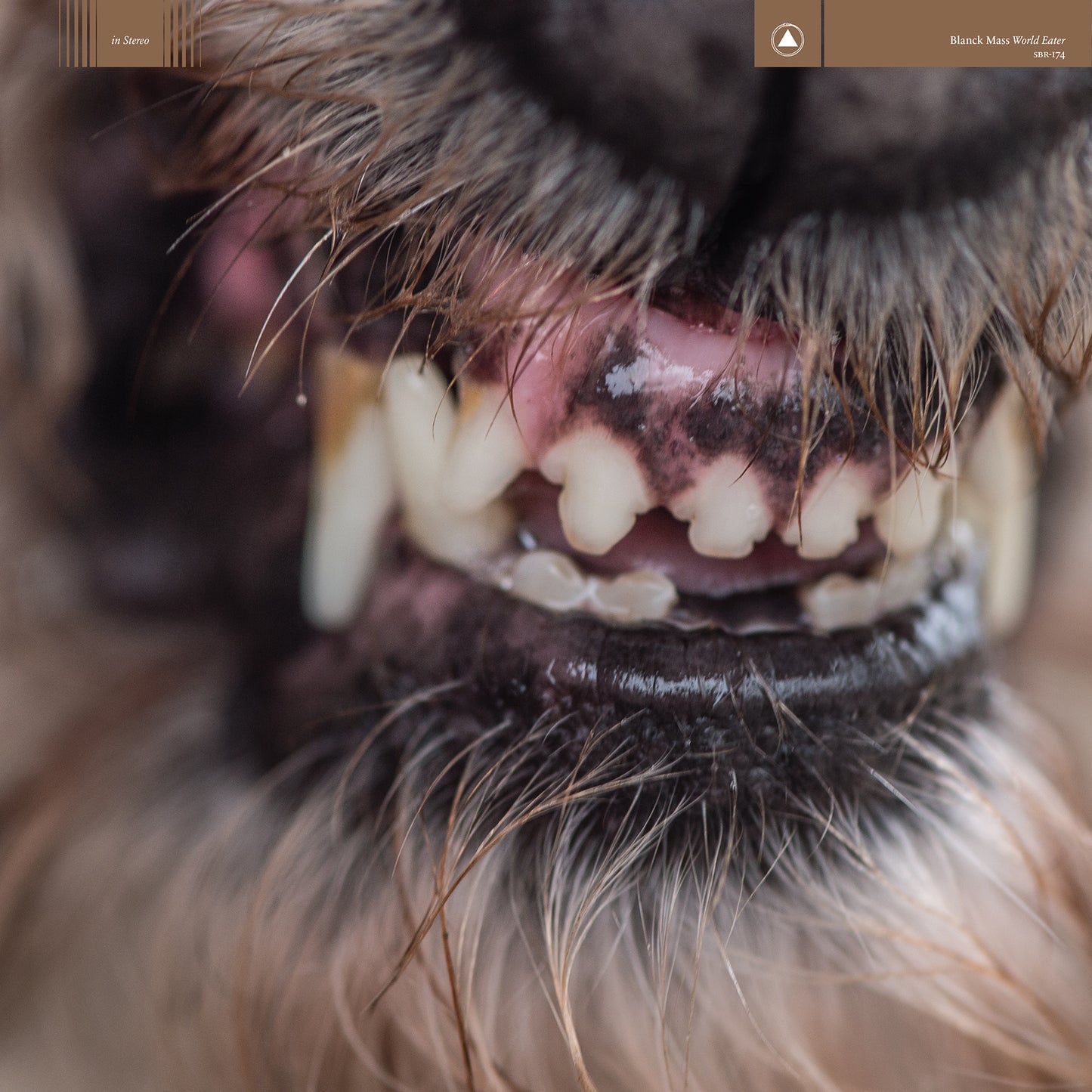 BLANCK MASS - WORLD EATER