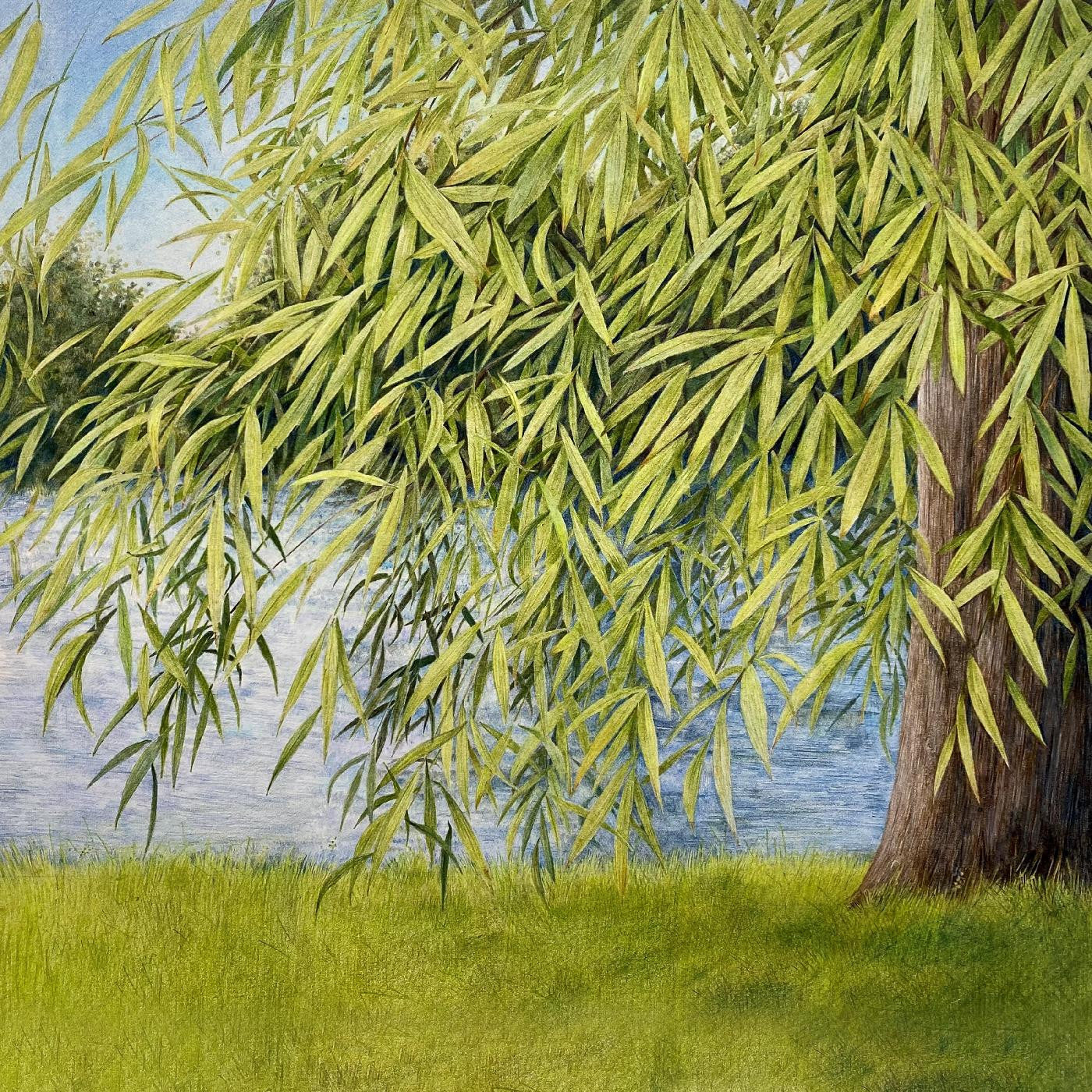 SIMPSON, MARTIN & THOMM JUTZ - NOTHING BUT GREEN WILLOW : THE SONGS OF MARY SANDS AND JANE GENTRY