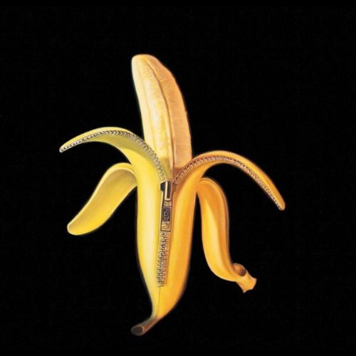 DANDY WARHOLS - WELCOME TO THE MONKEY HOUSE