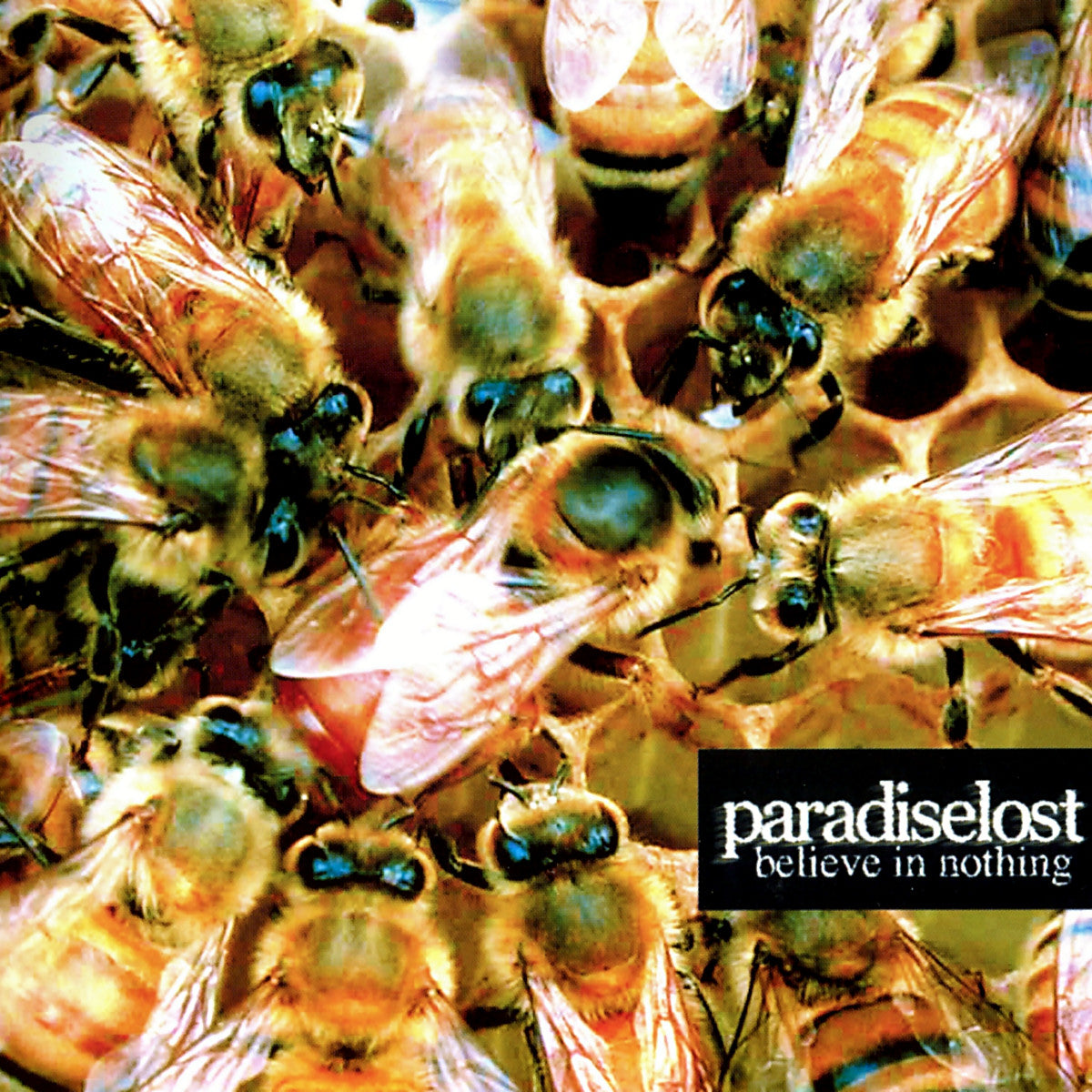 PARADISE LOST - BELIEVE IN NOTHING
