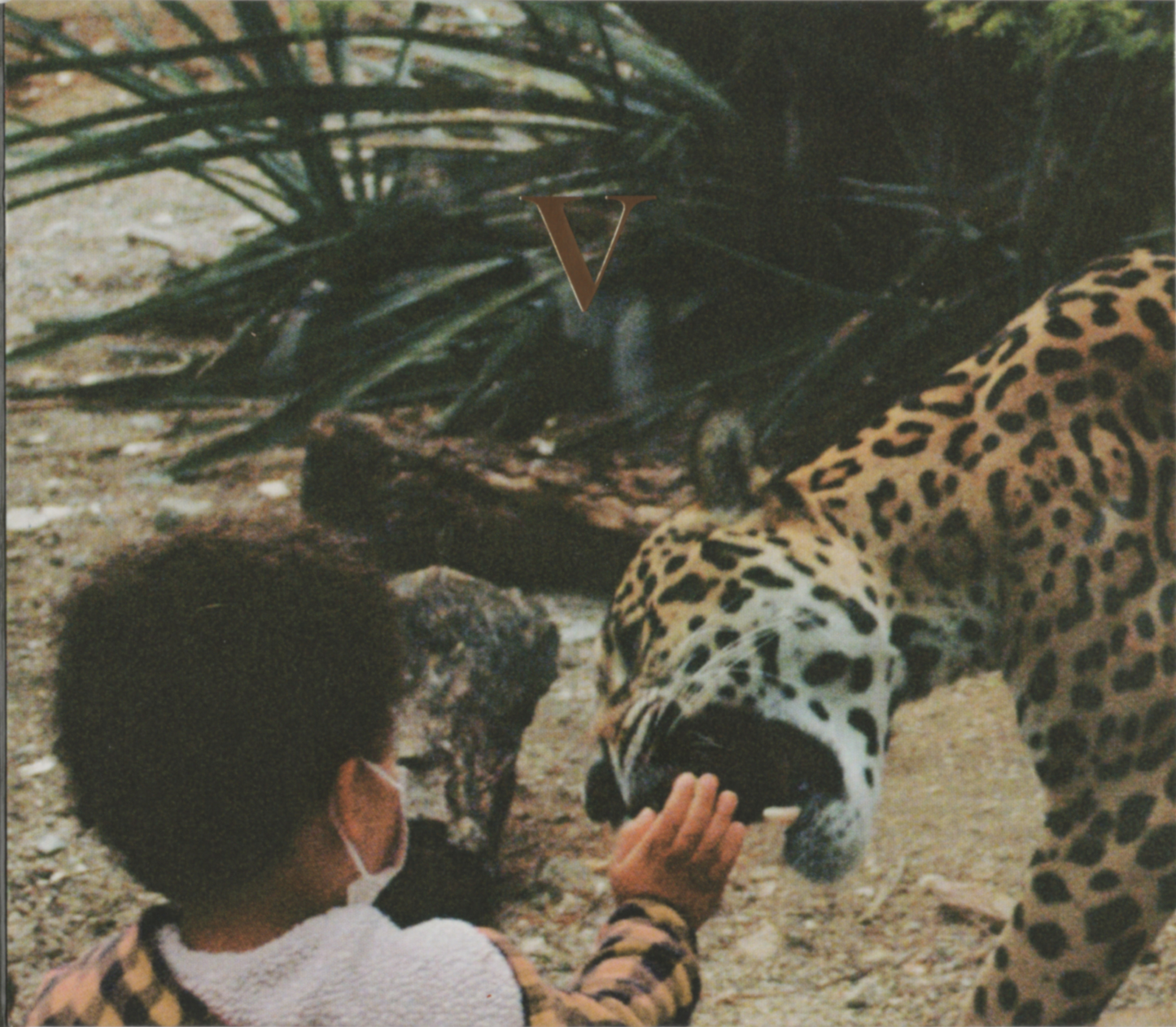 UNKNOWN MORTAL ORCHESTRA - V