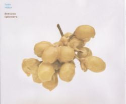 MILLER, EVAN - BEESWAX EPHEMERA