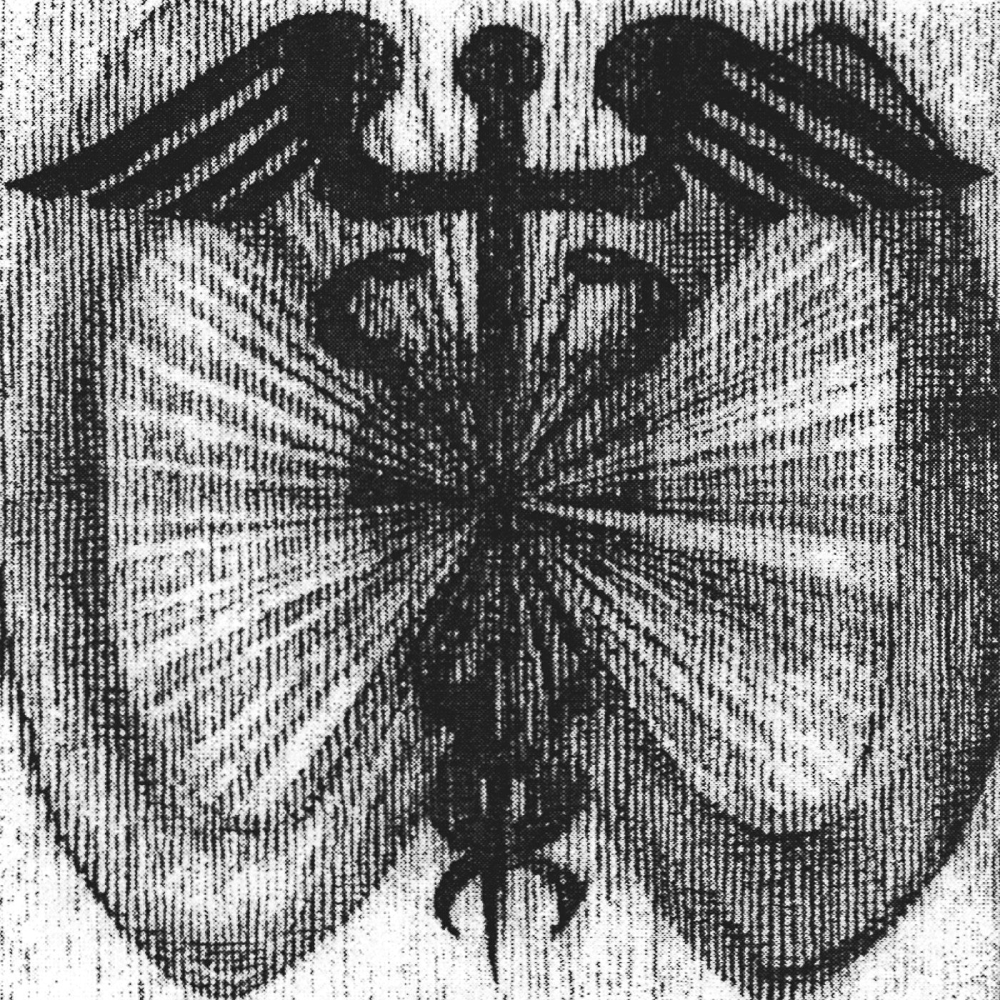 ROBBER ROBBER - TWO WHEELS MOVE THE SOUL