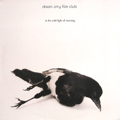 DREAM CITY FILM CLUB - IN THE COLD LIGHT OF MORNING