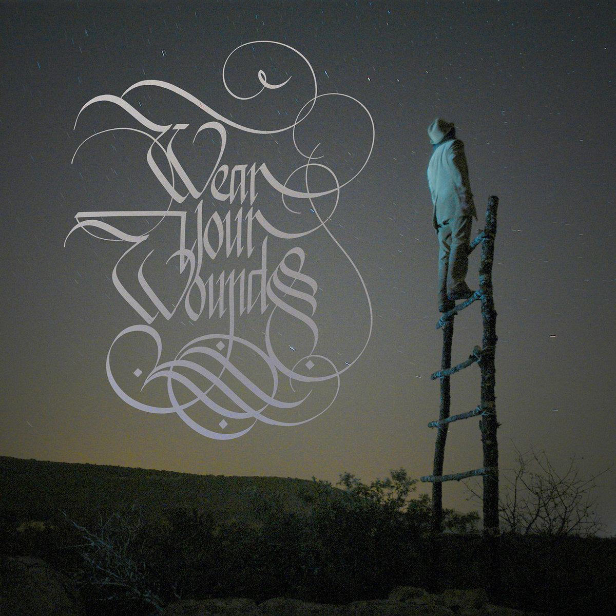 WEAR YOUR WOUNDS - WYW