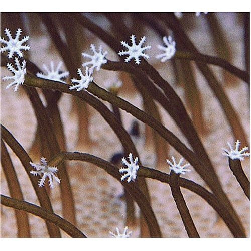 MEDESKI, MARTIN & WOOD - FARMER'S RESERVE