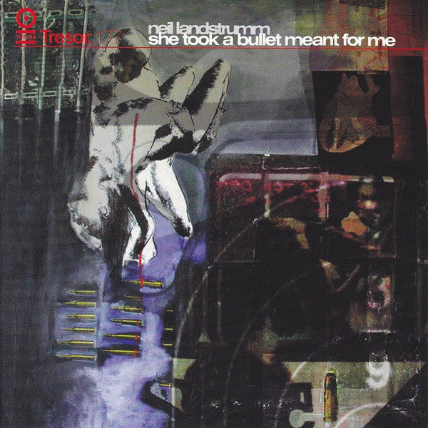 LANDSTRUMM, NEIL - SHE TOOK A BULLET MEANT FOR ME