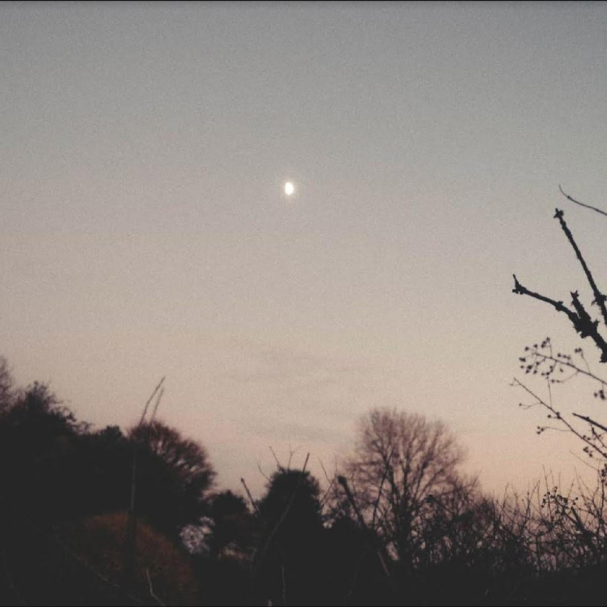 SERMANNI, RACHEL - DREAMER AWAKE