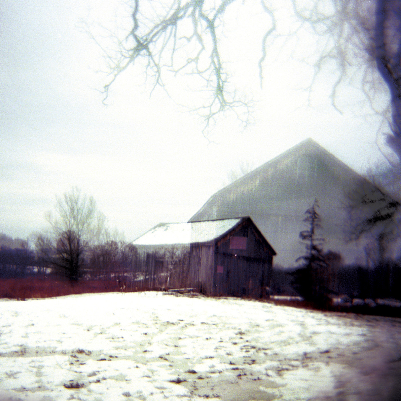 HORSE FEATHERS - HOUSE WITH NO HOME