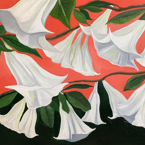 DANNY GEORGE WILSON - ANOTHER PLACE (VINYL)