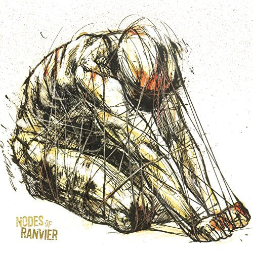 NODES OF RANVIER - ST